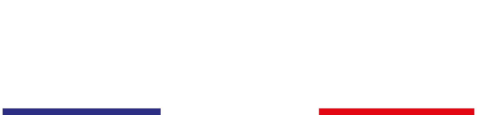 Logo Pallini