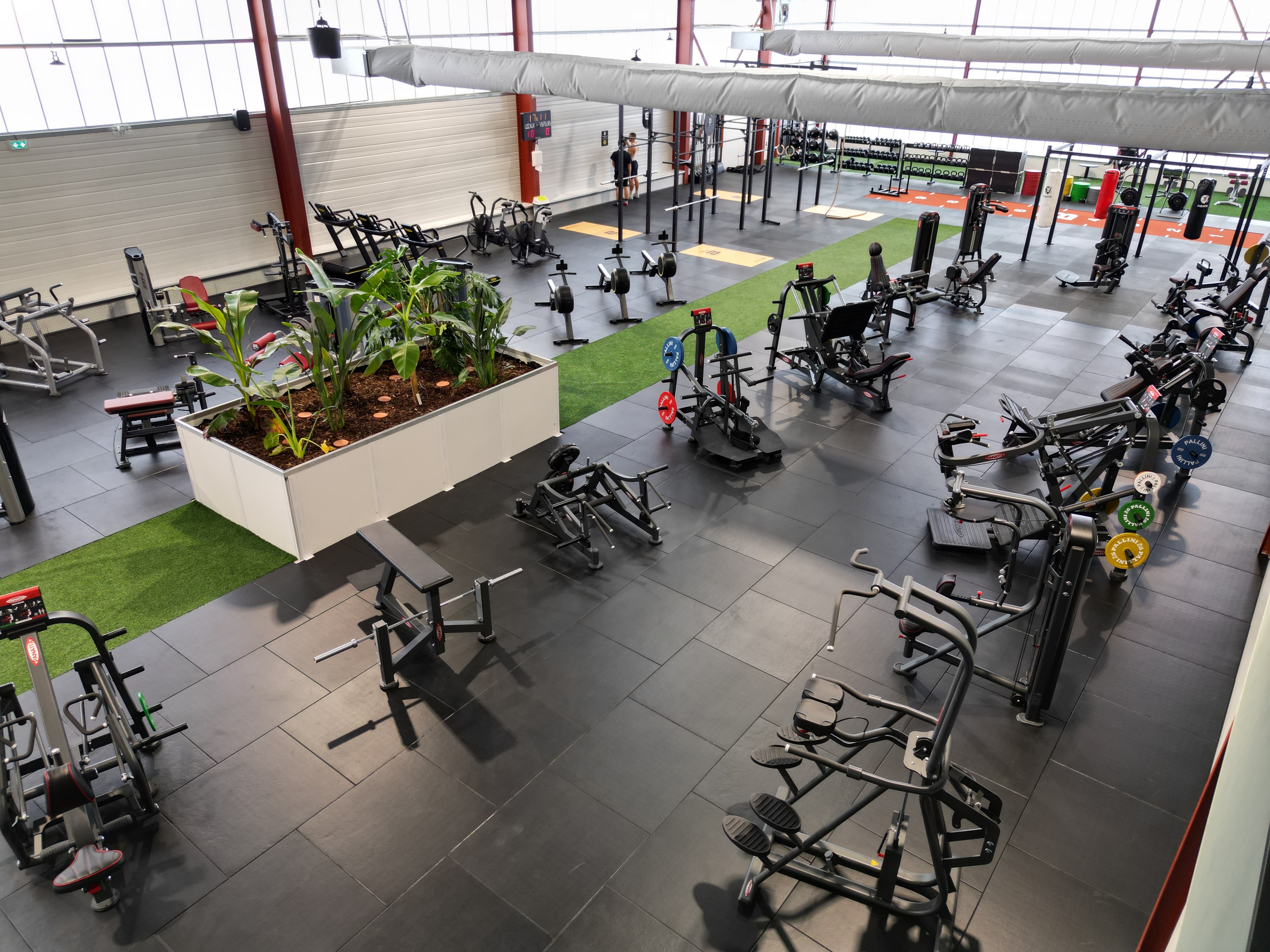 Plateau de musculation et jardinière centrale